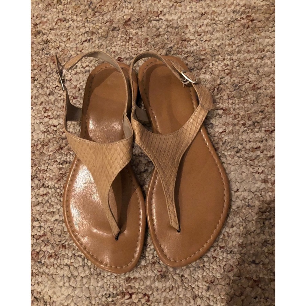 Beige Python Print T-Strap Thong Sandals - image 1